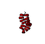 redroseclr.gif