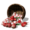 redroseclr.gif