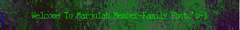 redroseclr.gif