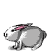 redroseclr.gif